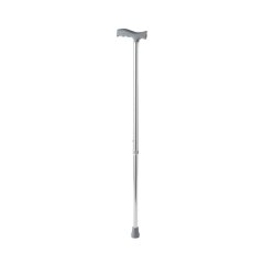 mx Walking Stick