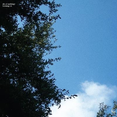 Turning On (Vinyl / 12" Album Coloured Vinyl)