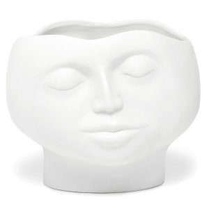 Carrol Boyes Bowl Large - Enigma