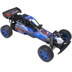 Off Road Style RC Car