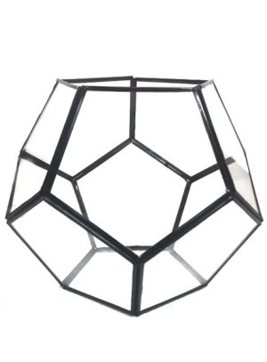 Decorative Geometric Glass Terrarium- Black Finish