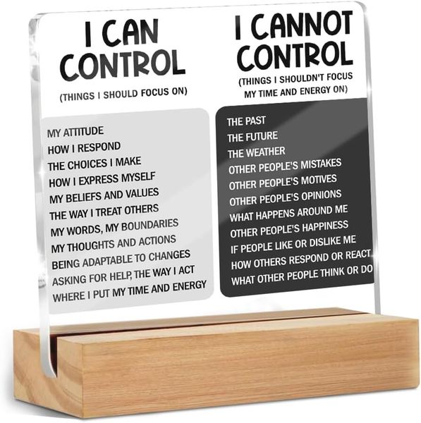 Motivational Acrylic Sign, Thank You Gift for Women Office Decor