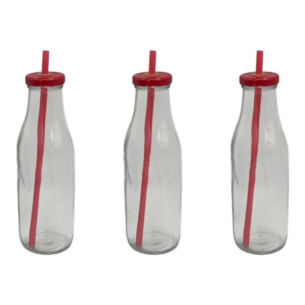 Bottle with Straw - 500ml - Set of 3