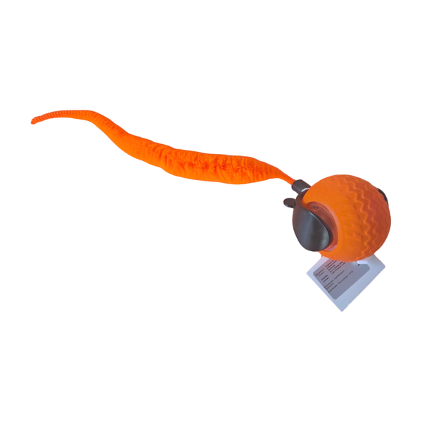 Interactive Rolling Cat Toy