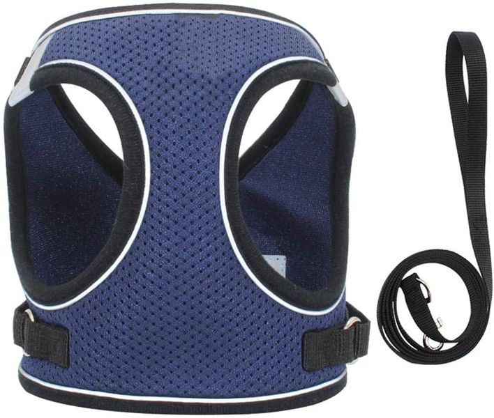 Soft Mesh No-Pull Breathable Dog Harness and Leash Set