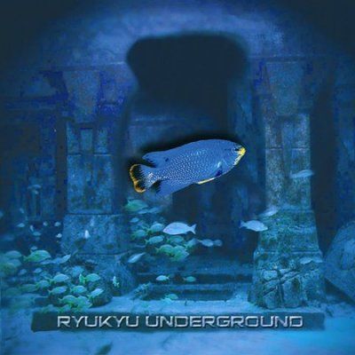 Ryukyu Underground - Ryukyu Underground (CD)
