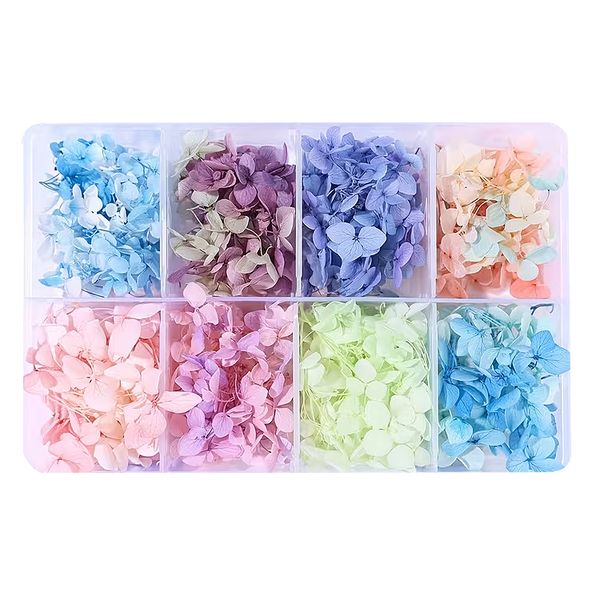 8 Division Natural Dry Hydrangea Flowers for Resin and Crafts