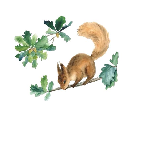 Launch Republic Vinyl Wall Sticker Squirrel