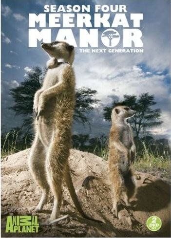 Meerkat Manor:Season 4 - (Region 1 Import DVD)