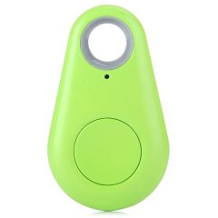 Anti Lost Dog Tag - Green