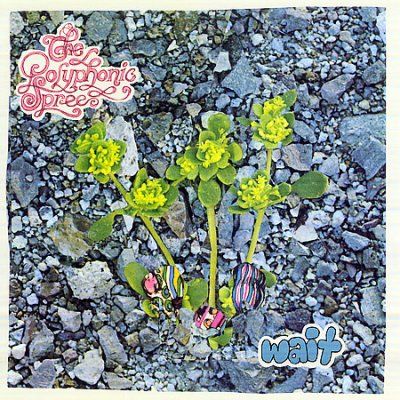 Polyphonic Spree - Wait (CD)