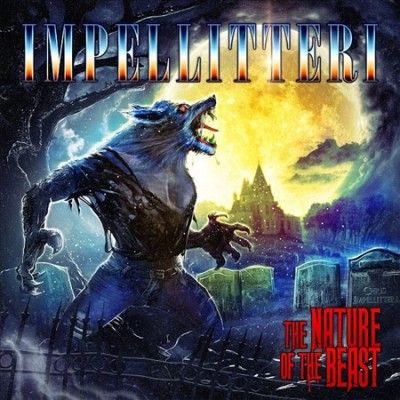 The Nature of the Beast (Vinyl / 12" Album)