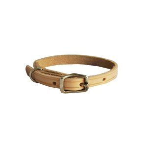 Dog Collar Plain - #2 - 15 X 360mm - 6 Pack