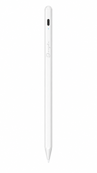Jamjake iPad Stylus Pen with Palm Rejection &amp; USB-C Charging