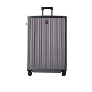 Jekyll and Hide Large Check-In 79cm (115 L)