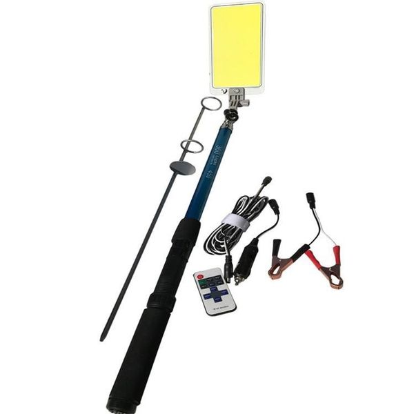 Outdoor Multifunctional Light
