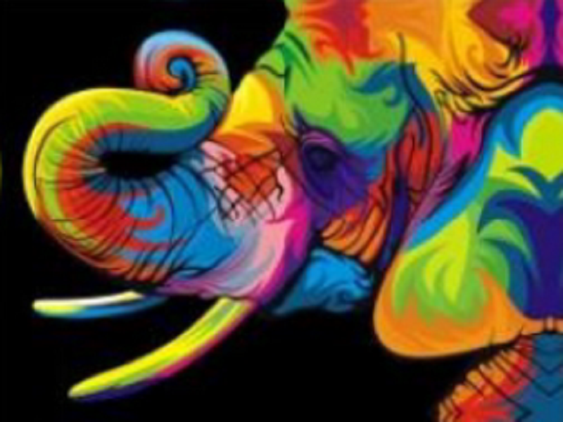 Colourful Elephant 30 x 40cm Diamond art