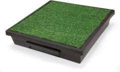 SA Family Dog Potty Training