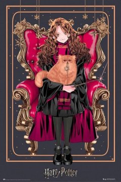 Harry Potter Wizard Dynasty - Hermione Poster