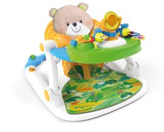 Winfun - Sit To Walk Activity Centre