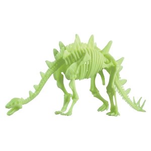 Edu-Science Glow-in-the-Dark Stegosaurus Skeleton: 26cm x 11.5cm