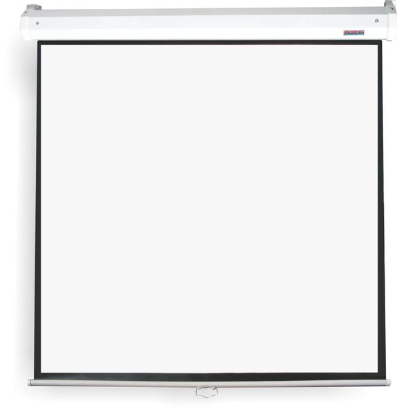 Parrot Pulldown Projector Screen - 1760 x 1330mm