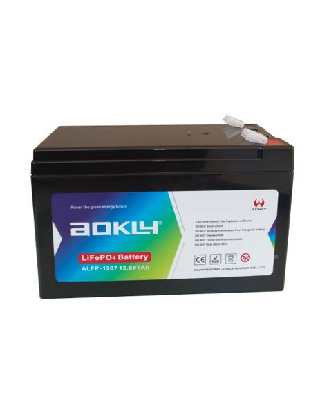 Aokly Lithium Iron Phosphate (LIFEPO4) Battery