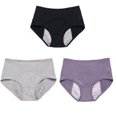 Menstrual Panties Leakproof Period Panty Set 3 Piece Underpants for Women