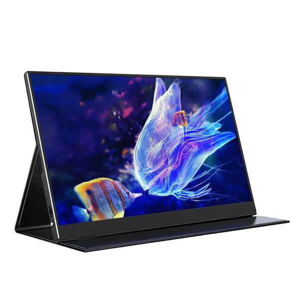 Plug and Play 13.3" Portable Monitor Display for Gaming and Meeting