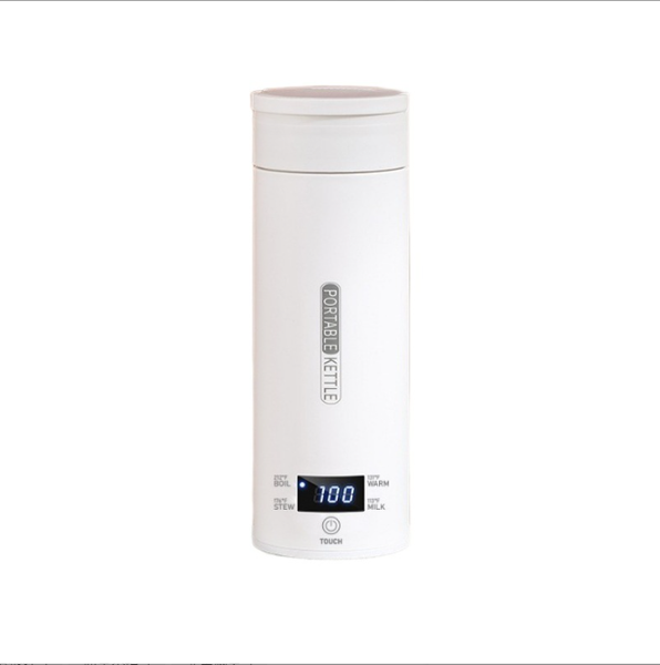 Portable Electric Kettle, Four-Step Temperature Controlled Heating, 500ml