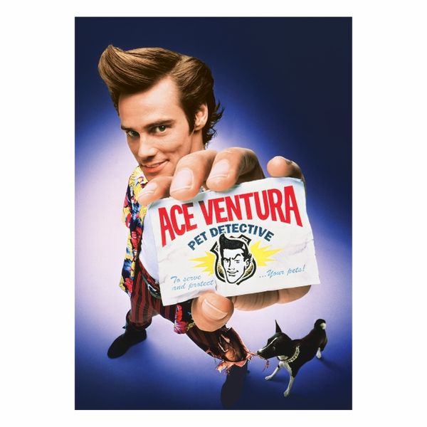 Ace Ventura When Nature Calls Movie - A1 Poster