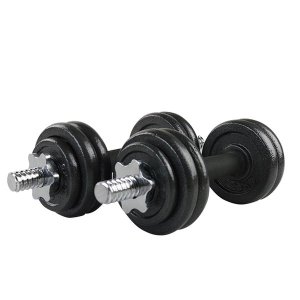 Everlast 20KG Cast Iron Dumbbell Weight Set