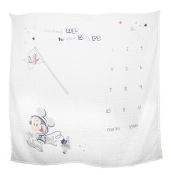 Mickey Mouse Milestone Blanket
