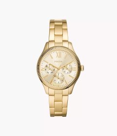 Fossil Rye Multifunction Gold-Tone Stainless Steel Watch-BQ3692
