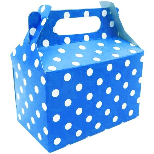 Sky Blue Dotted Party Box (10)