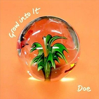 Grow Into It (Vinyl / 12" Album)