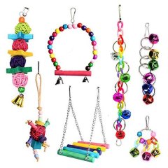 7 Piece Parrot Bird Colourful Fun Interactive Play Toy Set