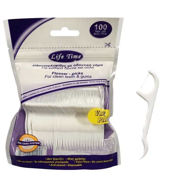 Dental Floss Picks - 100 picks