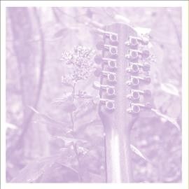 Sarah Louise - Vdsq Solo Acoustic: Vol 12 (Vinyl)