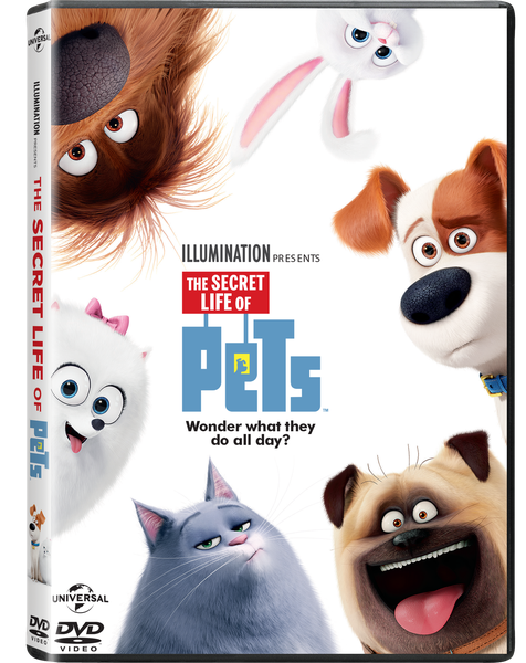 The Secret Life of Pets (DVD)