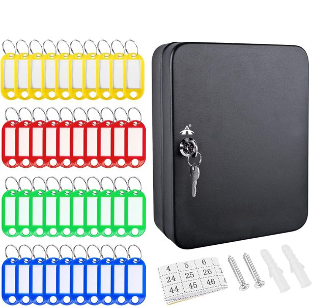 ALANES Key Cabinet Wall Mount Locking Key Box Organizer with Key - 48 Keys