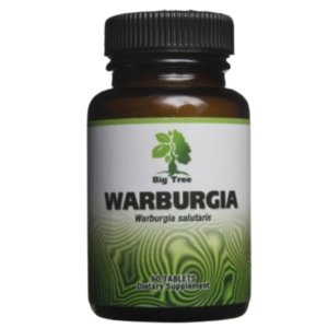 Big Tree - Warburgia Natural Antibiotic &amp; UTI Treatment - 60 Veg Caps