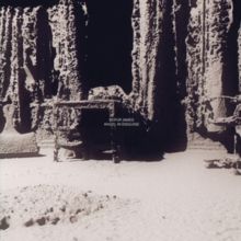 Angel in Disguise (CD / Album)