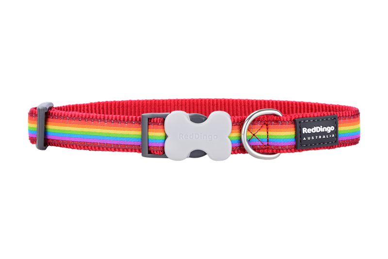 Red Dingo Dog Collar - Design - Medium - Rainbow