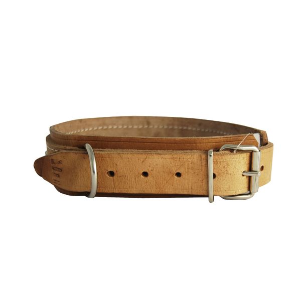 Dog Collar Stud - Bull Dog - 45 X 750mm - 3 Pack