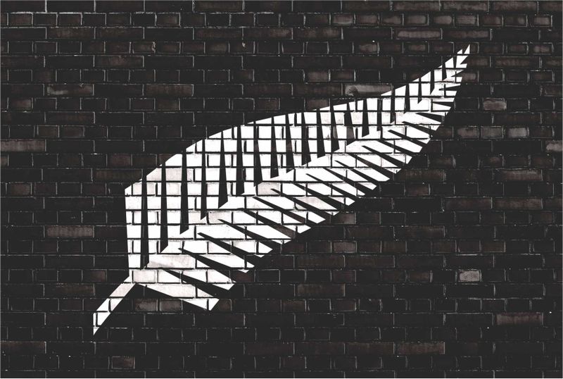 Laptop Skin All Black Fern
