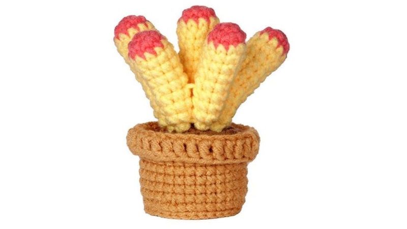 Beginner Crochet Starter Kit with Plant Crafts Set