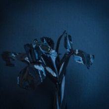 The Rifts (Vinyl / 12" Album)