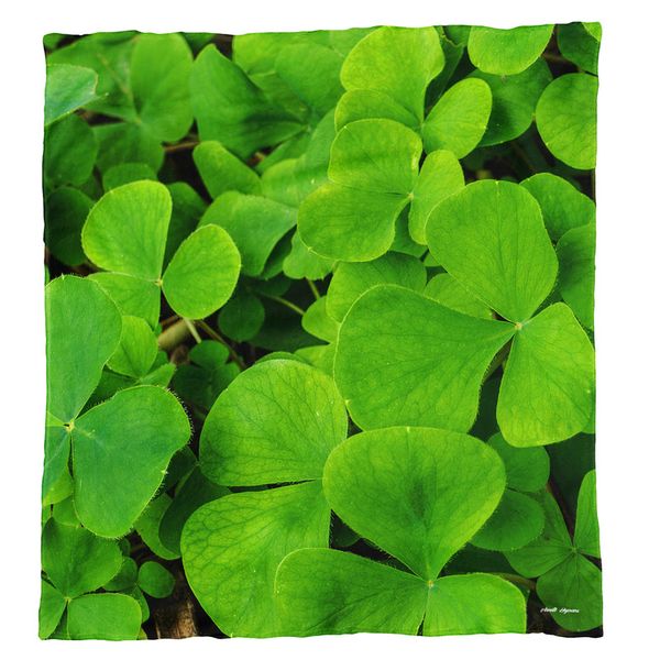Oxalis Violacea Light Weight Fleece Blanket by Annette Heymans
