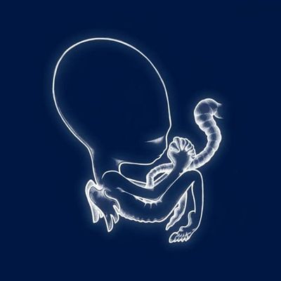 Ágætis Byrjun (Vinyl / 12" Album)